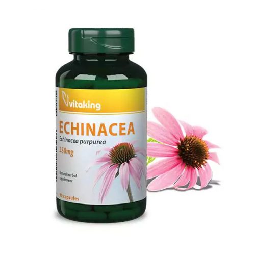 Vitaking Echinacea kivonat (Bíbor Kasvirág) 250mg (90) 