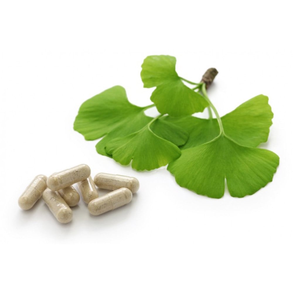 Ginkgo Biloba