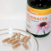 Echinacea (bíbor kasvirág) kivonat 250mg - az immunrendszer támogatója!