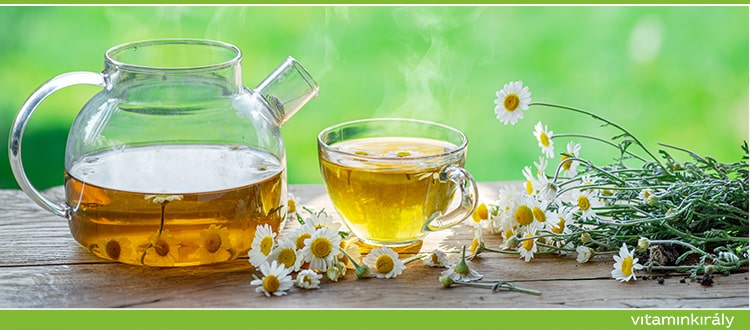 Immunerősítő gyógynövények, amikből immunitást fokozó teát készíthetsz
